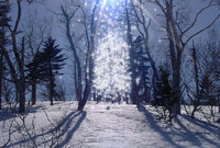 010313f-1.jpg