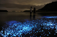 20090711-00000013-maiall-soci-view-000.jpg