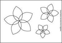 5petal.jpg