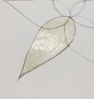 FullSizeRender-(1).jpg