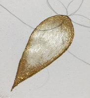 FullSizeRender-(3).jpg