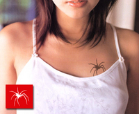 Spider-03.jpg