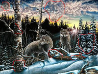 gardner_15wolves_ansser.jpg