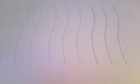 111208_1608~01.jpg
