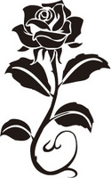 Rose-22.jpg