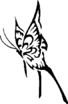 BUTTERFLY01